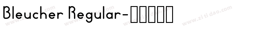 Bleucher Regular字体转换
